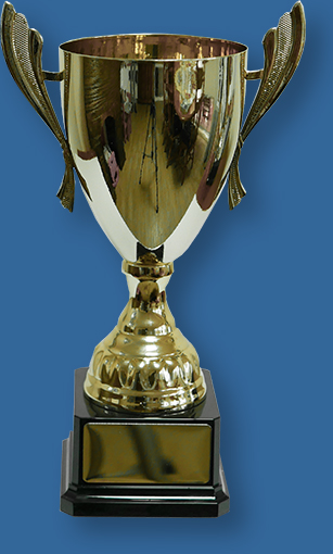 Gold Trophy Cup on Black Plastic Base