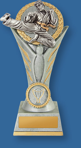 Martial arts trophy silver figures on silver backdrop