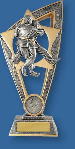 Martial arts trophy silver figures in gold star