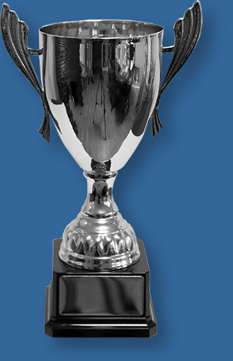 Metal Silver Trophy Cup. Metal Silver Trophy Cup with high shine. Non tarnishing Black base.