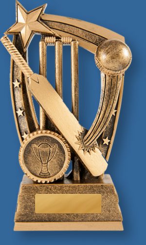 Bronze generic resin trophy with bat, ball and stumps graphic.