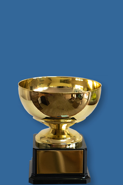 T108DGt Gold Bowl Trophy Cup on Base
