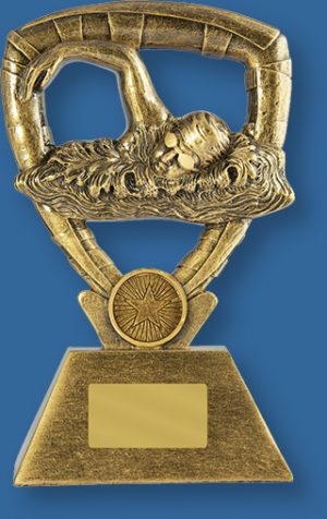Gold Resin Generic Trophy with Freestyle Swimmer detail.