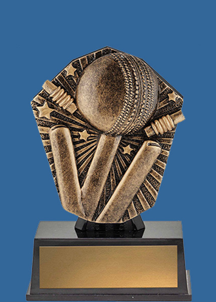 CSM11t Cosmos Series Super Mini Cricket Updated Image