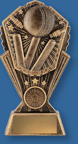 Bronze Cricket Theme with with ball, stumps and Bails detail on riser.