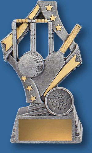 Cricket Theme Trophy Flag Series. Antique Silver and gold trim with bat ball and stumps detail.