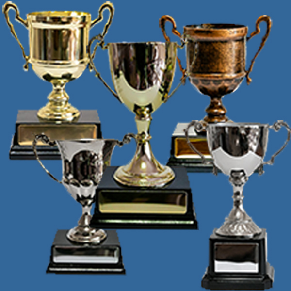 Small Metal Trophy Cups