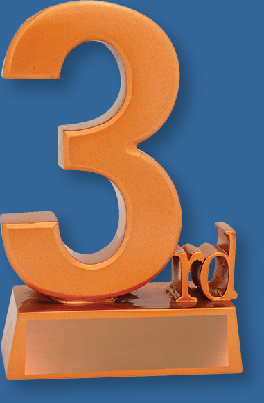 3rd Place Trophy Generic Resin.3rd Place trophy finished in vibrant matt bronze tone with engraving plate.