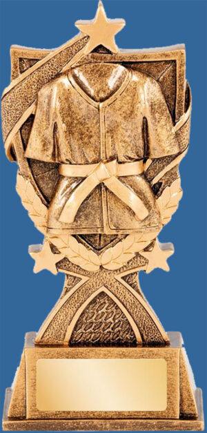 Martial Arts Trophy Generic Resin. Bronze Karategi. Can be engraved