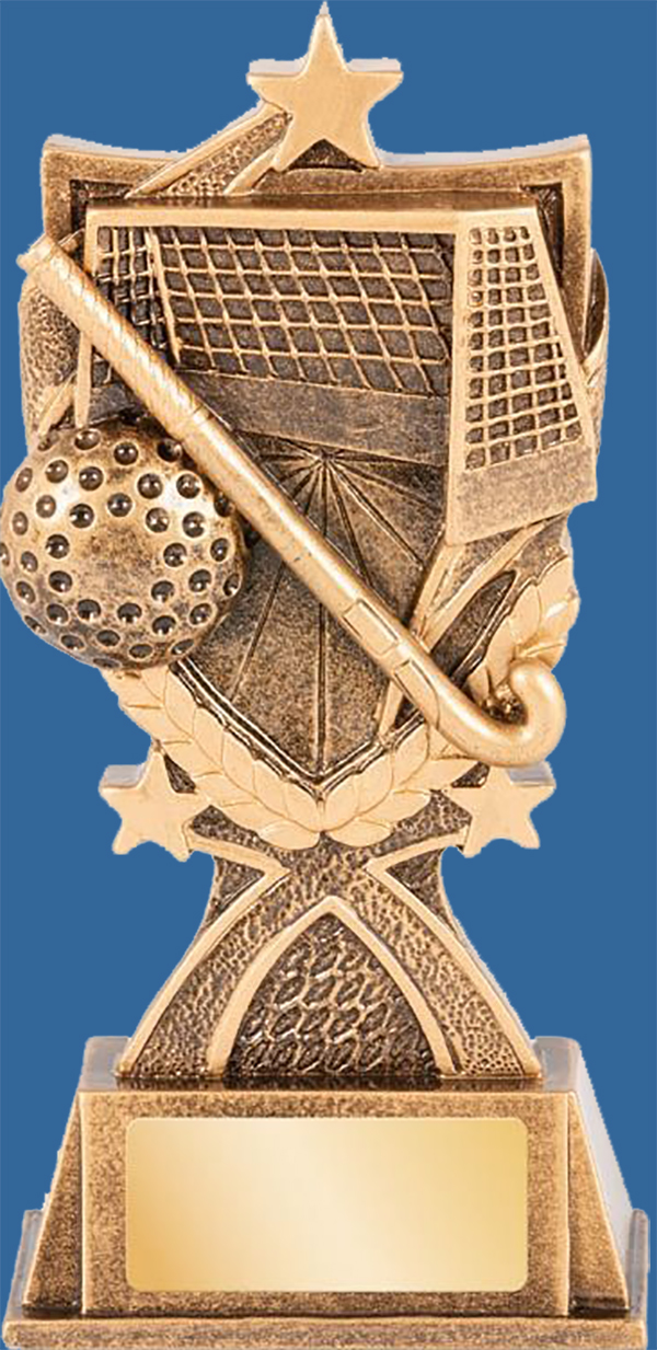 Bronze tone Hockey Theme Trophy detailing ball stick and net.