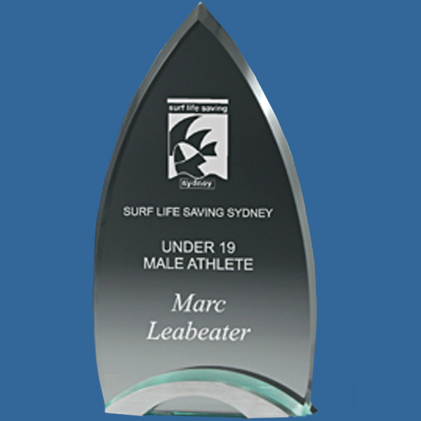 CG4_t Clear Glass Award with Brushed Chrome Base