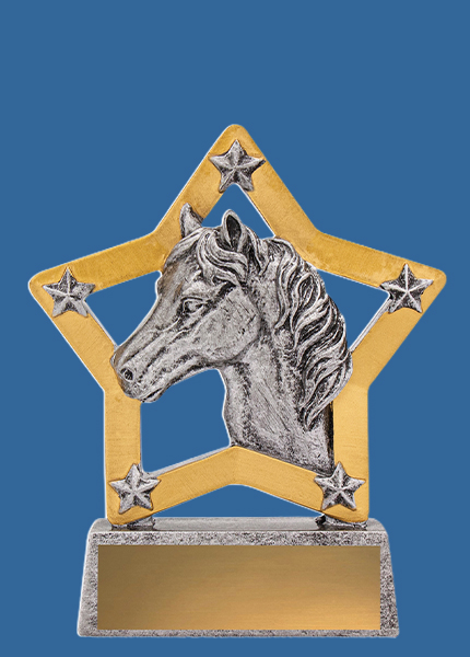 12935t Equestrian Mini Star Resin Trophy