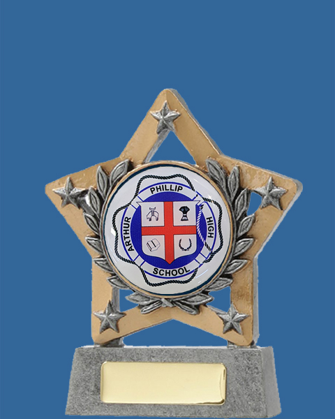 12999t Antique Silver Resin Logo Trophy with gold engraving plate