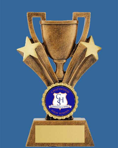 31005_t Antique Gold Cup Logo Resin Trophy, gold engraving plate