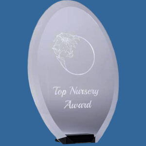 BB01_e Bevelled Beauty Clear Glass Oval Award Trophy