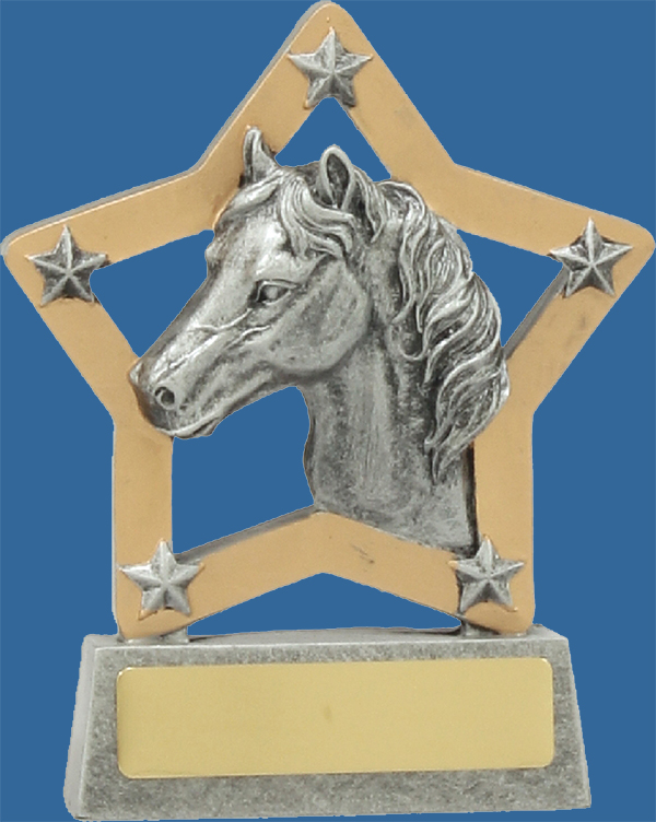 A well designed and sculptured Horse Trophy. The detail of a horse head profile inside a star is stunning. Resin with Silver and gold tones.