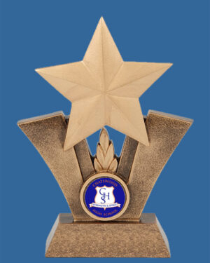 RL910_i Star Resin Trophy with Logo