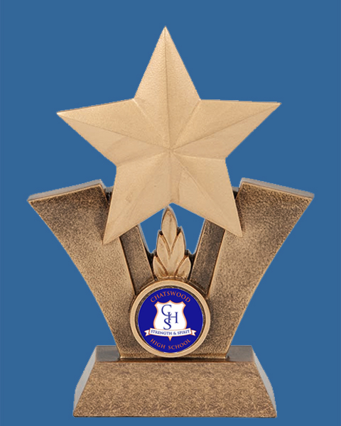 RL910_i Star Resin Trophy with Logo