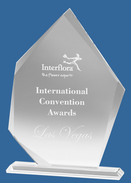 CT175_t Premier Peak Clear Glass Award Trophy (10mm Thick)