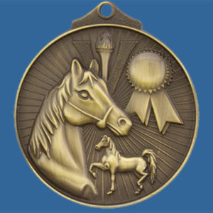 MD935Gt Horse Medal