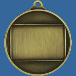 Global Series Medal Back View - 38 x 25mm Engraving or Printed Plate Area