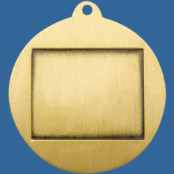 Brushed Econo Series Medal Back for engraving or printed plate