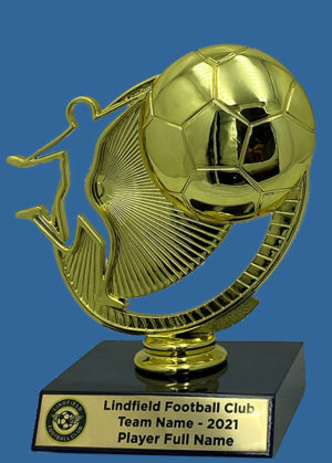 LF#4438t Gold Plastic Football Figurine