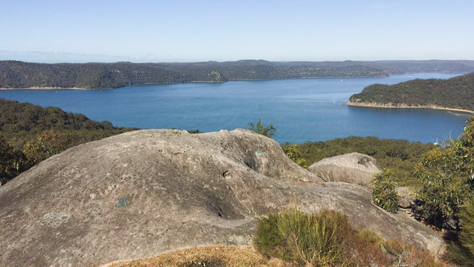 Bush Walk view from Elephant Rock
