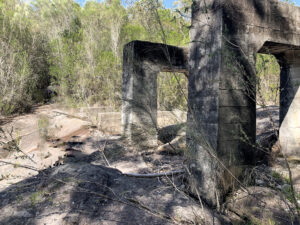 Hiking Old Basalt Rail Loop near Woy Woy circa 1928 Bushwalks near me