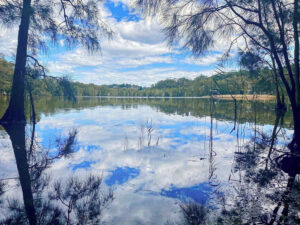 Bush Walk Blue Lagoon Avoca