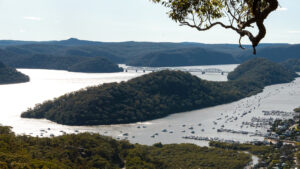Bush Walks 3. View from Muogamarra