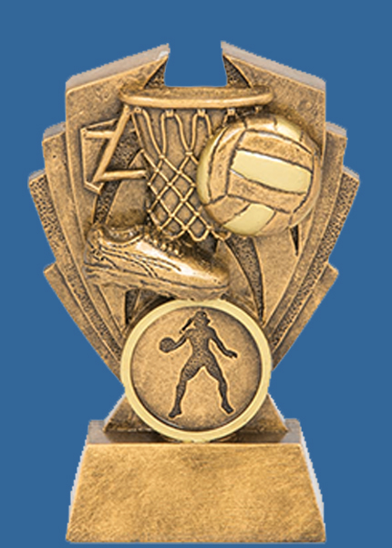 16553_a Hawk Series Resin Netball Trophy