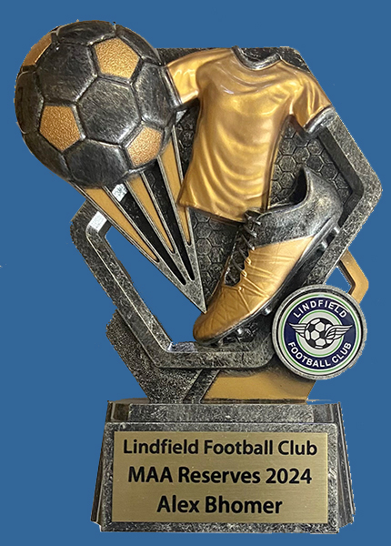 LF#1105Se Silver Plastic Football Trophy