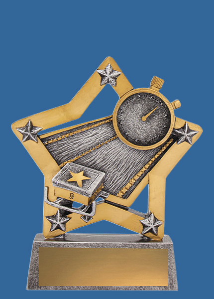 12930t Swim Mini Star Resin Trophy