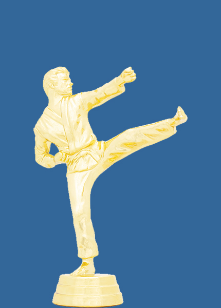 8344t Gold Plastic Male Karate Kick Martial Arts Trophy Figurine - 12.5cm