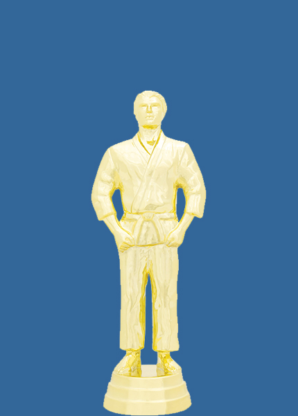 8346t Gold Plastic Male Judo Martial Arts Trophy Figurine - 12.5cm