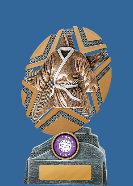 24_-RS11e StarBurst Series Martial Arts Resin Trophy