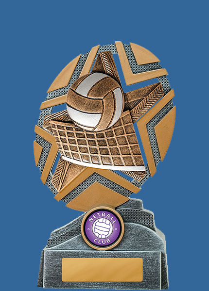 24_-RS13e StarBurst Series Volleyball Resin Trophy