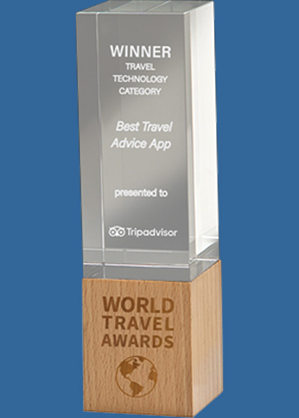 QT01_t Binary Crystal & Wood Award