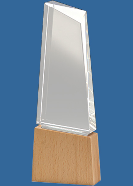 QT04t Supercharge Crystal & Wood Award
