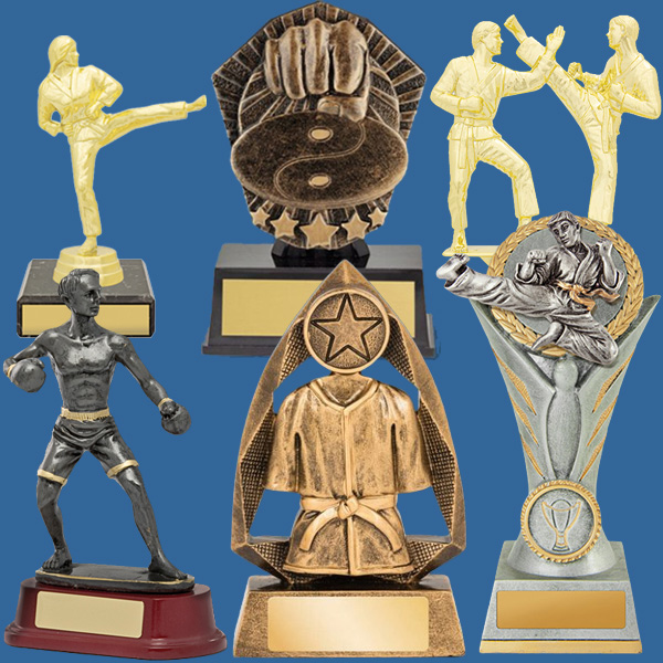 Martial Arts Trophies