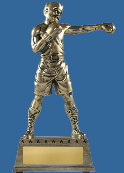 1182-32_e Resin Boxing Trophy
