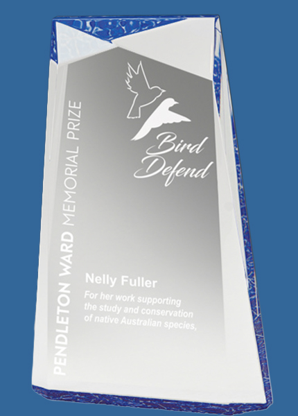 EAC22A-BU Blue Arctic Pinnacle Acrylic Award
