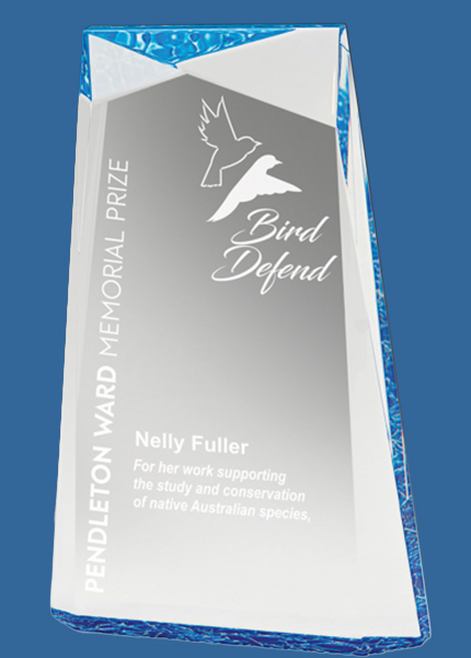 EAC22A-LBU Light Blue Arctic Pinnacle Acrylic Award