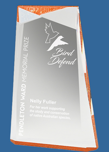 EAC22A-OR Orange Arctic Pinnacle Acrylic Award